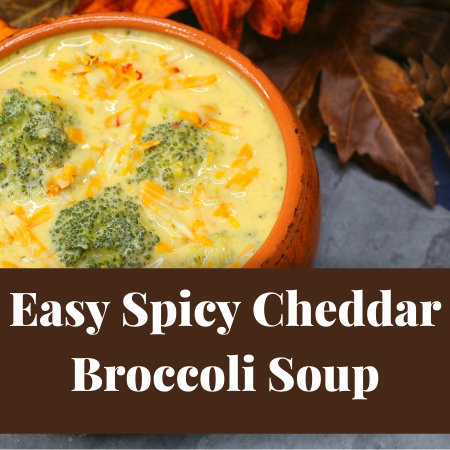 spicy cheddar broccoli soup