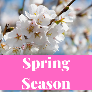 spring season resources