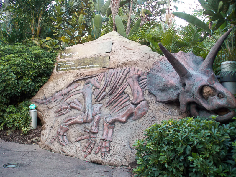 Fossil at Jurassic Park at Universal Studios Orlando