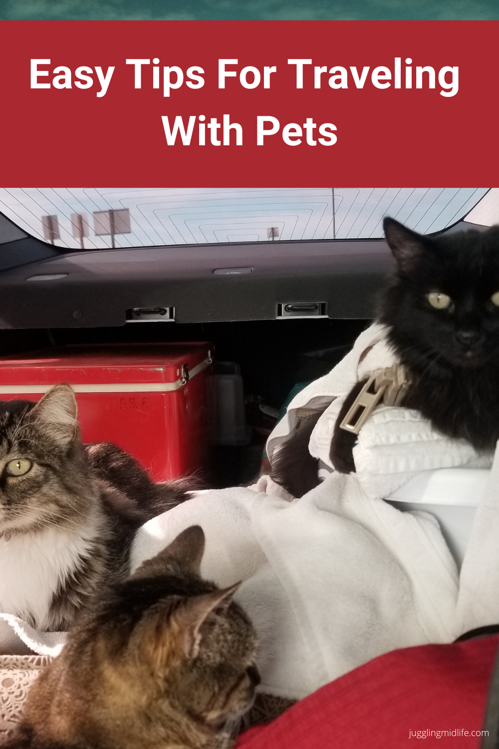 Easy Tips For Traveling with Pets