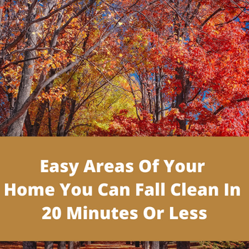 Fall Clean 20 minutes or less