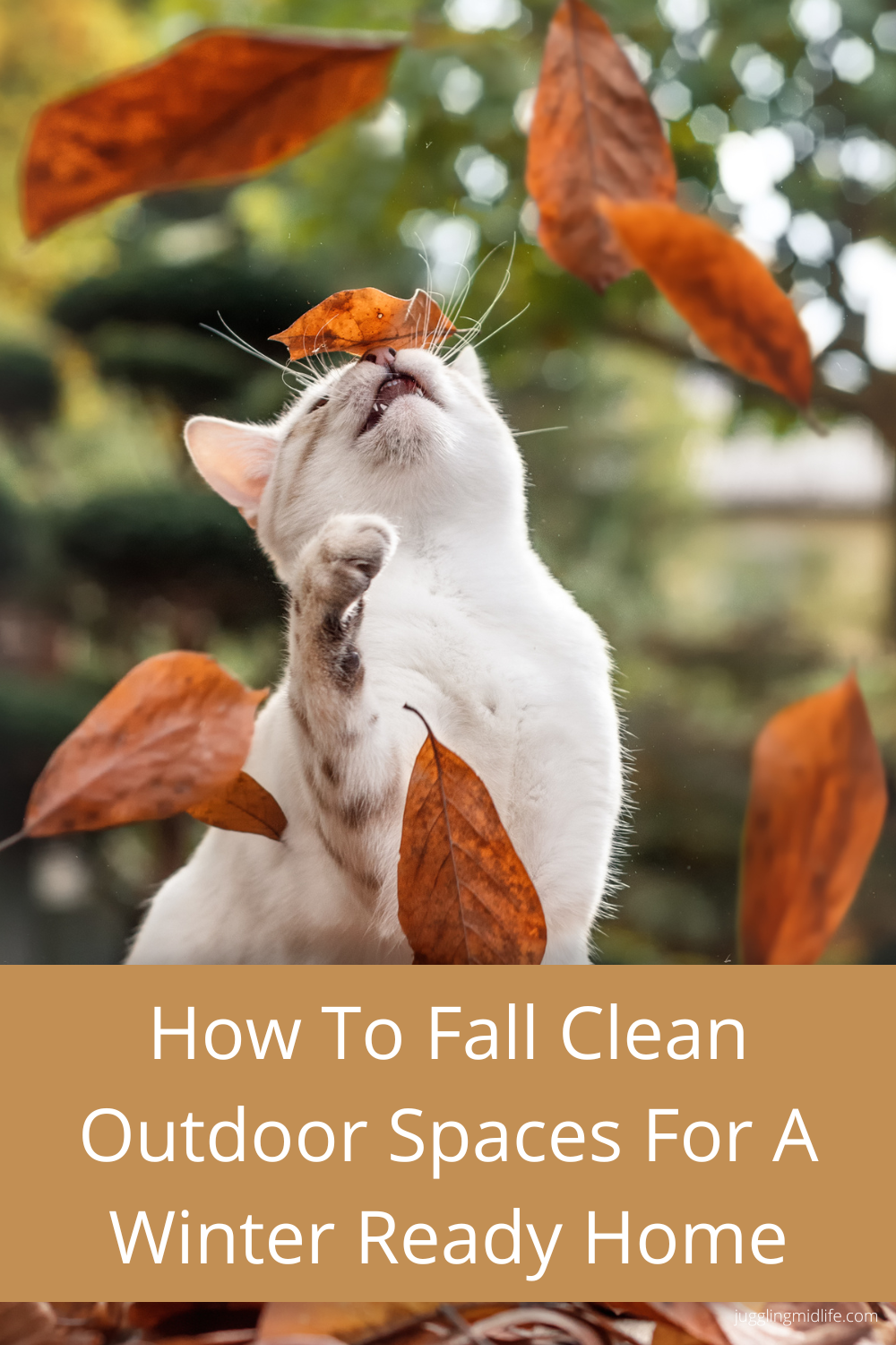 Fall cleaning outdoor spaces guide