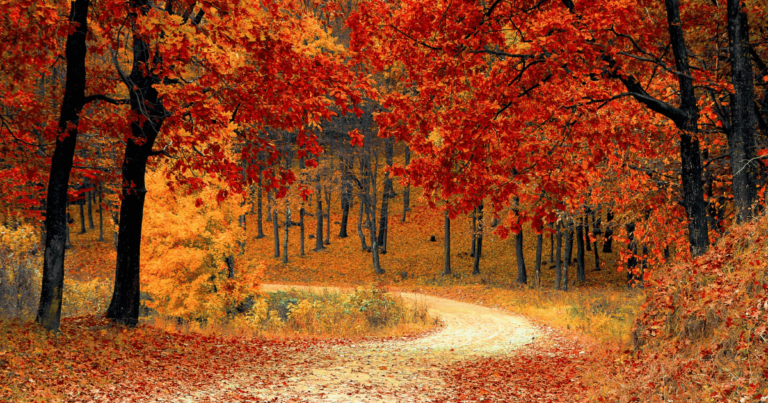 The East Coast During Fall: 5 Incredible Stops On Your Travel Itinerary