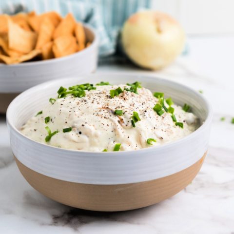 caramelized onion dip appetizer recipe