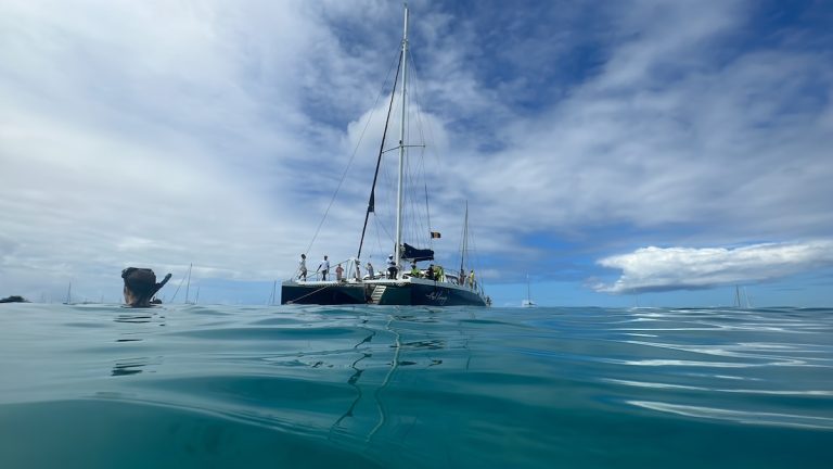 Sandals Royal Barbados and Sandals Barbados Excursions