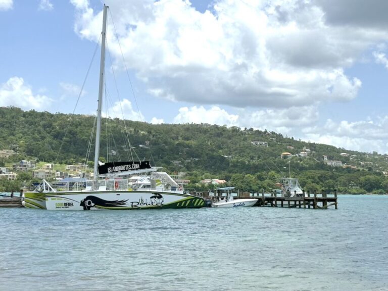 Sandals South Coast Excursions